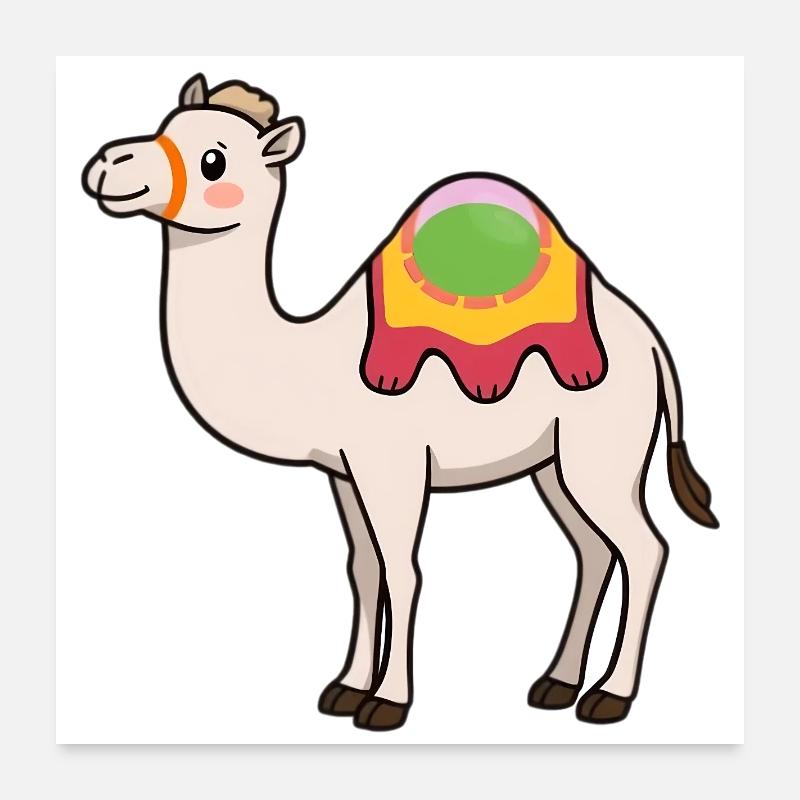 Dromedar Poster 60x60 cm