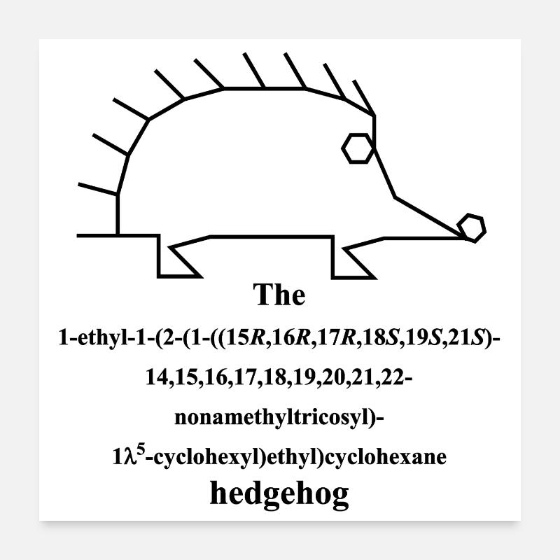 Molécule de hérisson - Nomenclature IUPAC Blague -b Poster 60 x 60 cm
