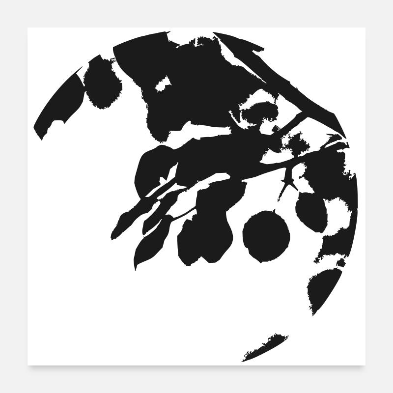 Silhouette circulaire eucalyptus Poster 60 x 60 cm