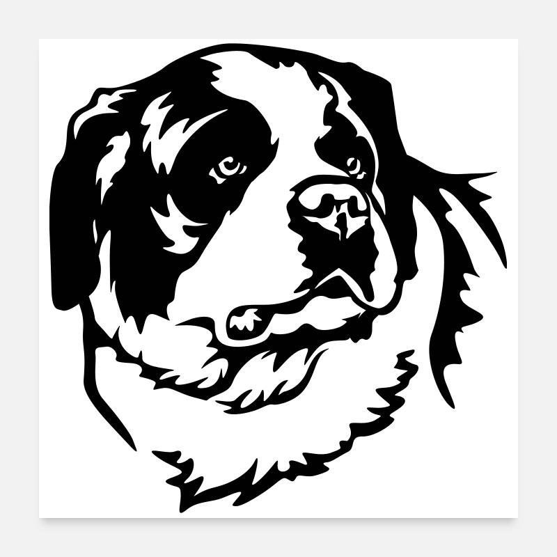 St. Bernard's Head Poster 24" x 24" (60x60 cm)