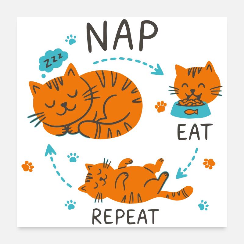 Conception de chat Manger Répétition Sieste Poster 60 x 60 cm