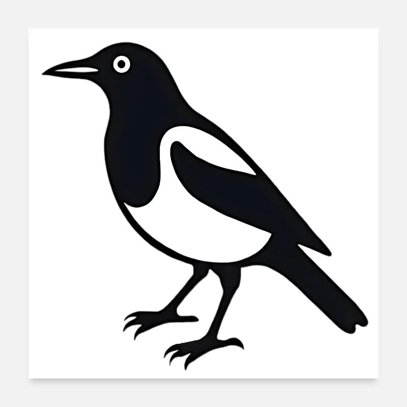 Elster Vogel Poster 60x60 cm