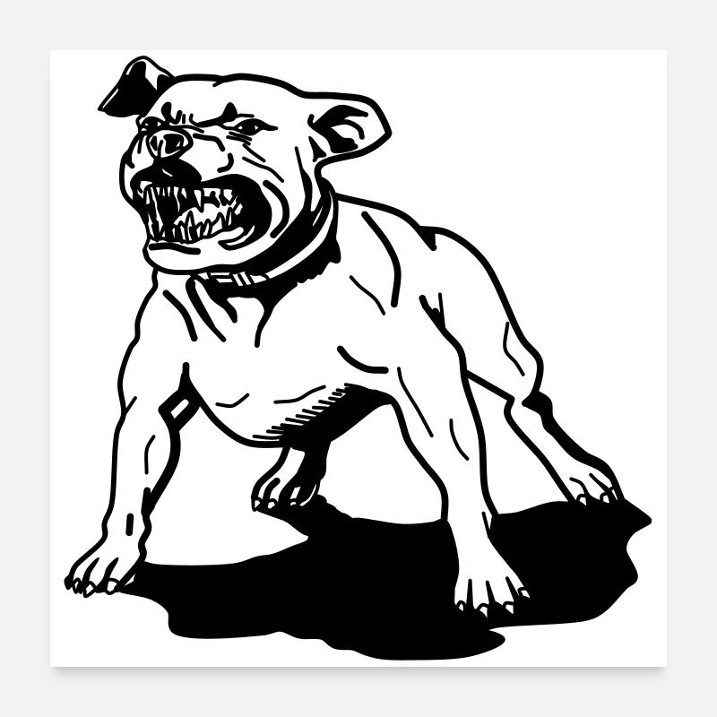 PitBull – Stärke auf vier Pfoten Poster 60x60 cm