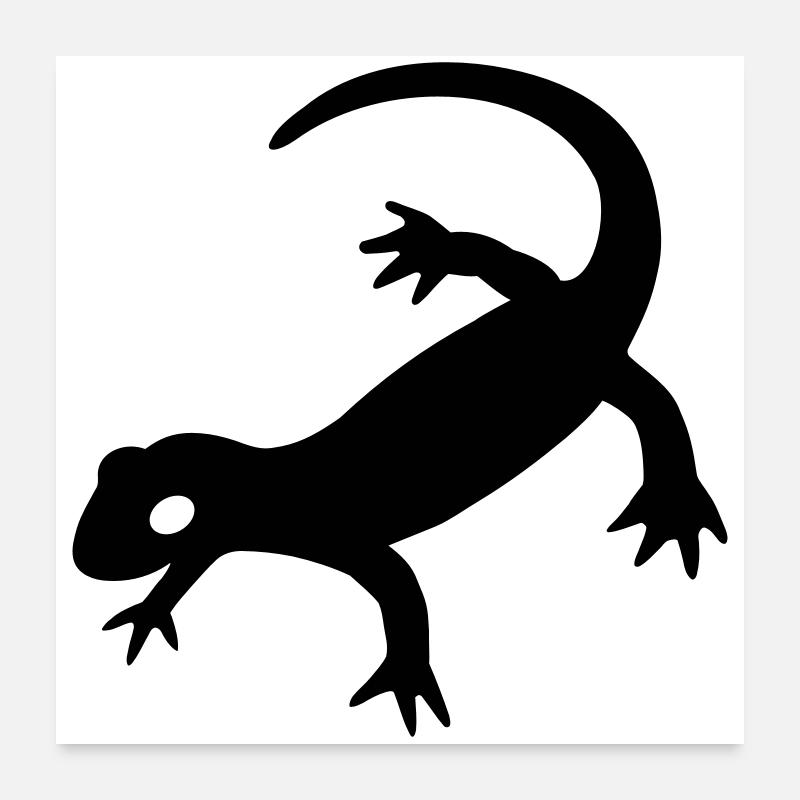 Salamander 2023 - Poster 60x60 cm - Weiß