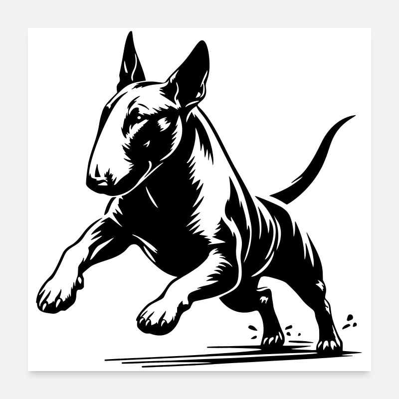 Bullterrier Poster 60x60 cm
