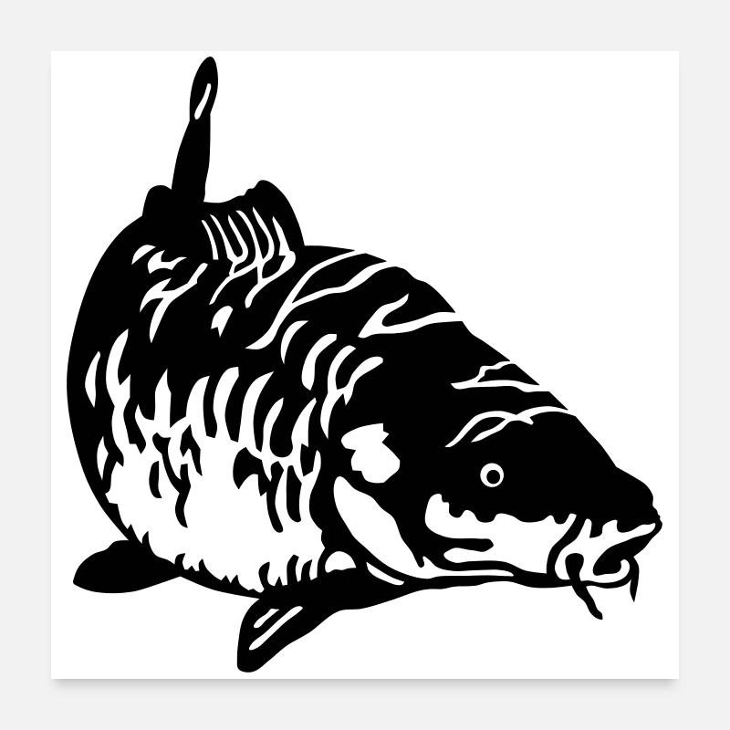 Carp Poster 24" x 24" (60x60 cm)