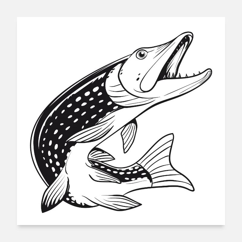 Brochet - Pêche - Pêche - Pêcheurs Poster 60 x 60 cm