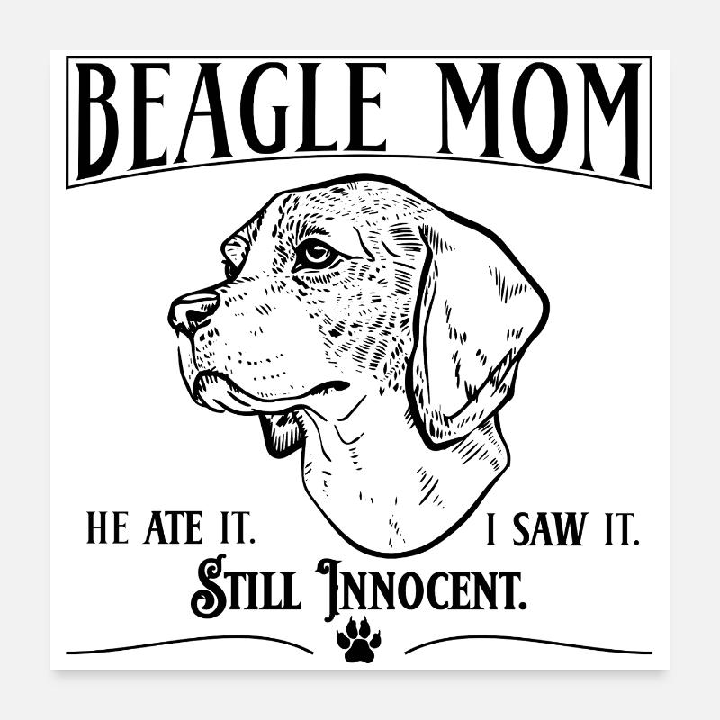 Maman beagle – il l’a mangée. Toujours innocent. Poster 60 x 60 cm