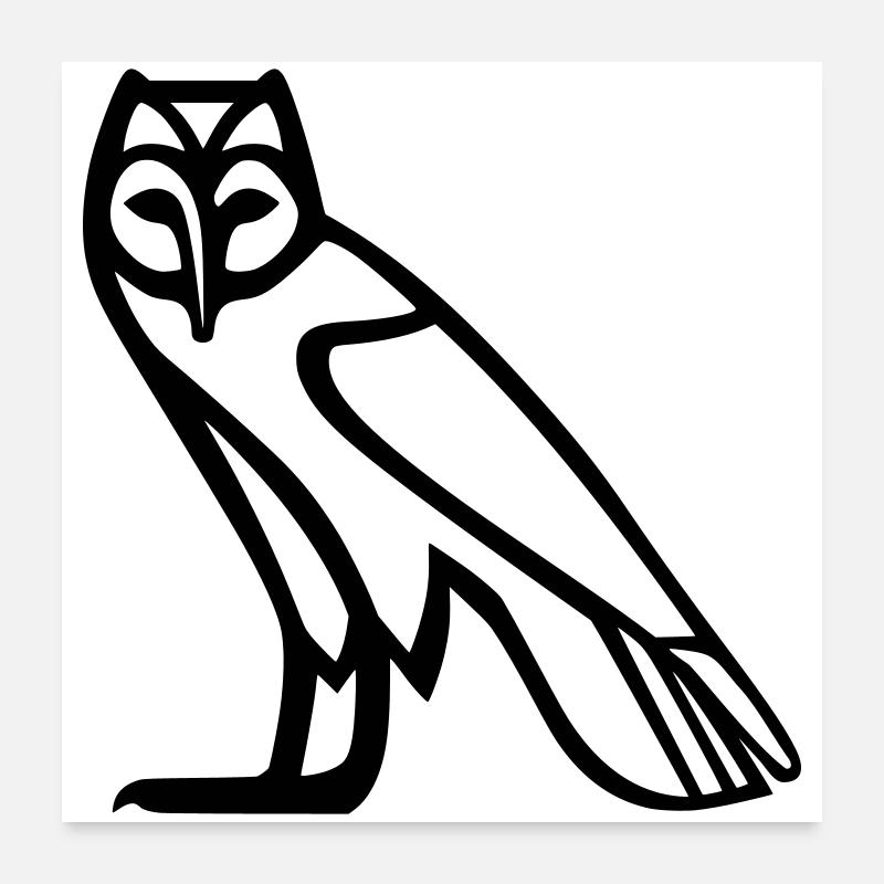 Eulen-Hieroglyphe - Poster 60x60 cm - Weiß