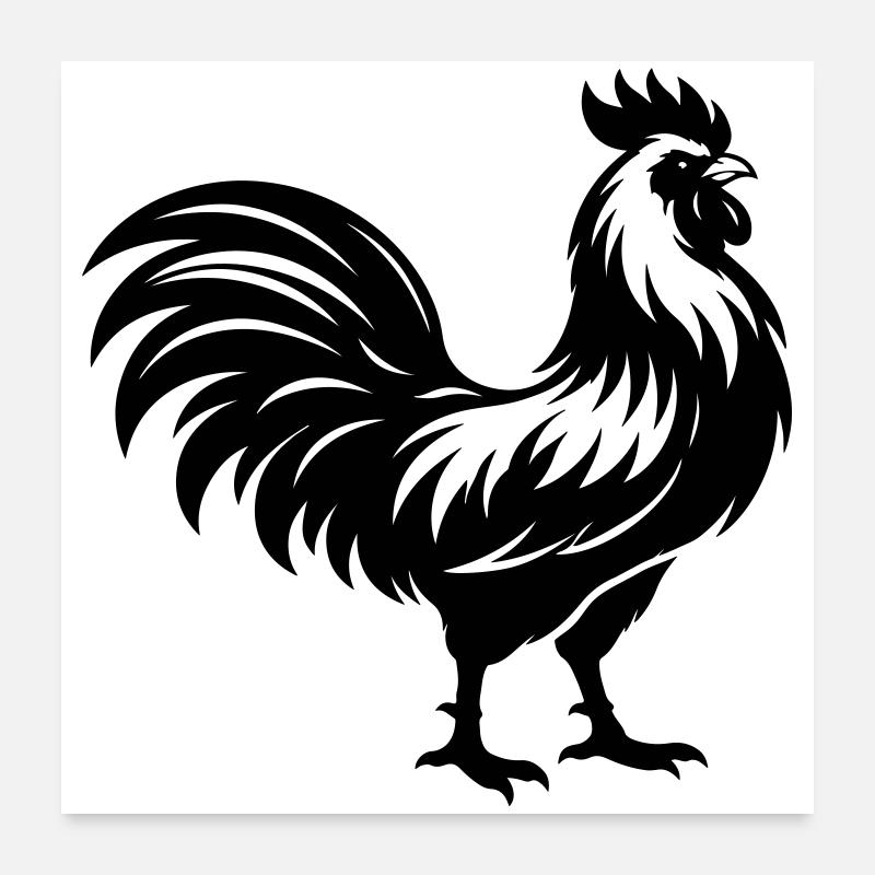 Hahn Silhouette Poster 60x60 cm