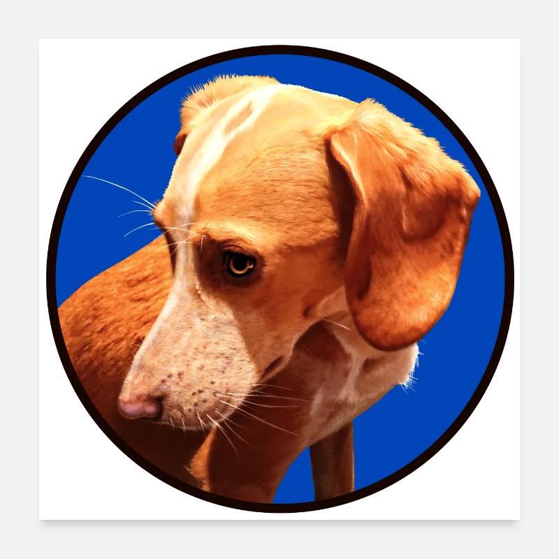 Paula Poster 60 x 60 cm