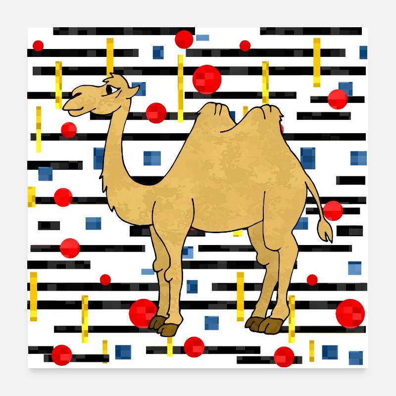 Kamel Poster 60x60 cm