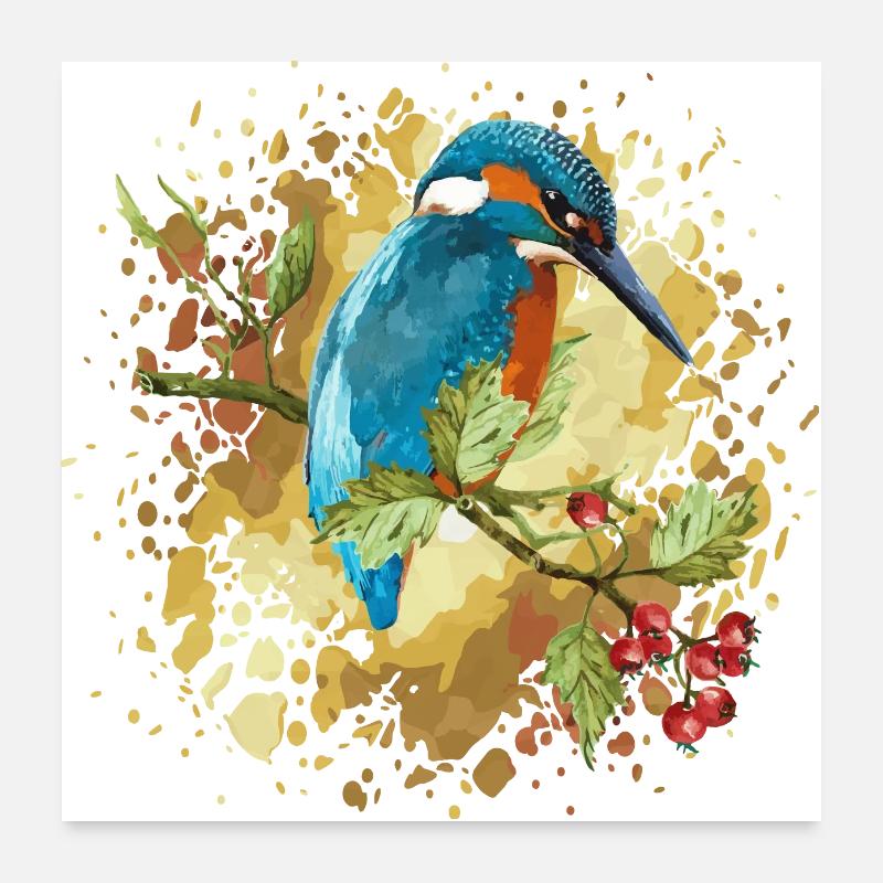 Eisvogel Vogel Poster 60x60 cm