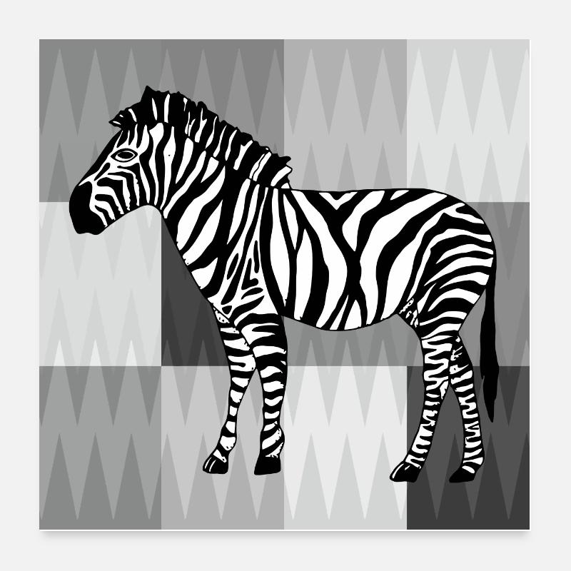 Zebra - Poster 60x60 cm - Weiß