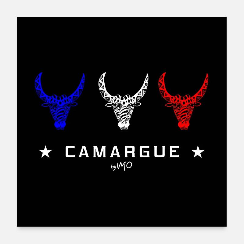 Camargue tricolore Poster 60 x 60 cm