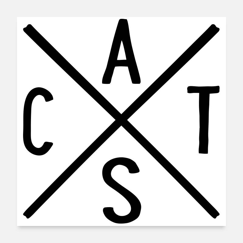 Chats Poster 60 x 60 cm