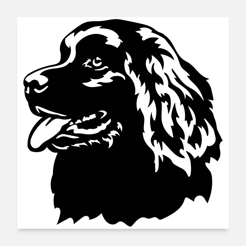 Neufundländer Kopf Poster 60x60 cm
