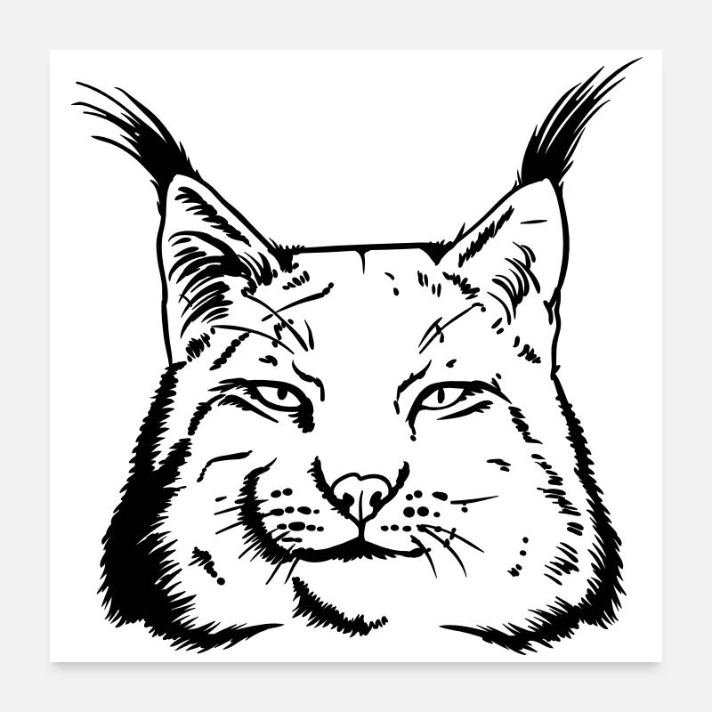 lynx - Poster 60x60 cm - Weiß
