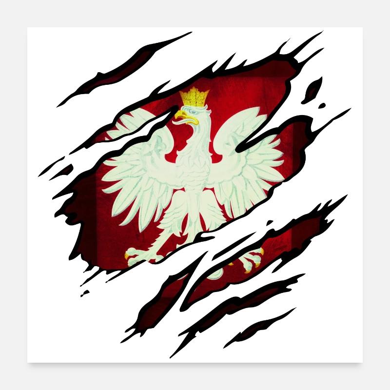 Polen - Poster 60x60 cm - Weiß
