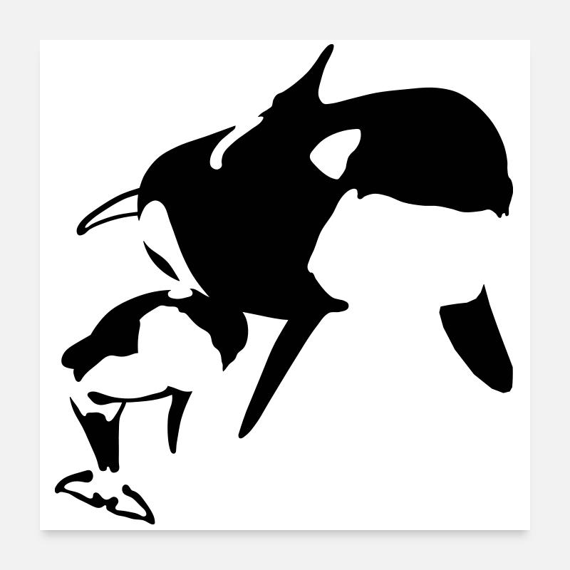 Orca Poster 60x60 cm