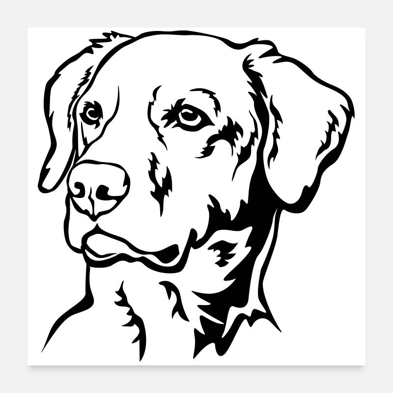 Labrador Head Poster 24" x 24" (60x60 cm)