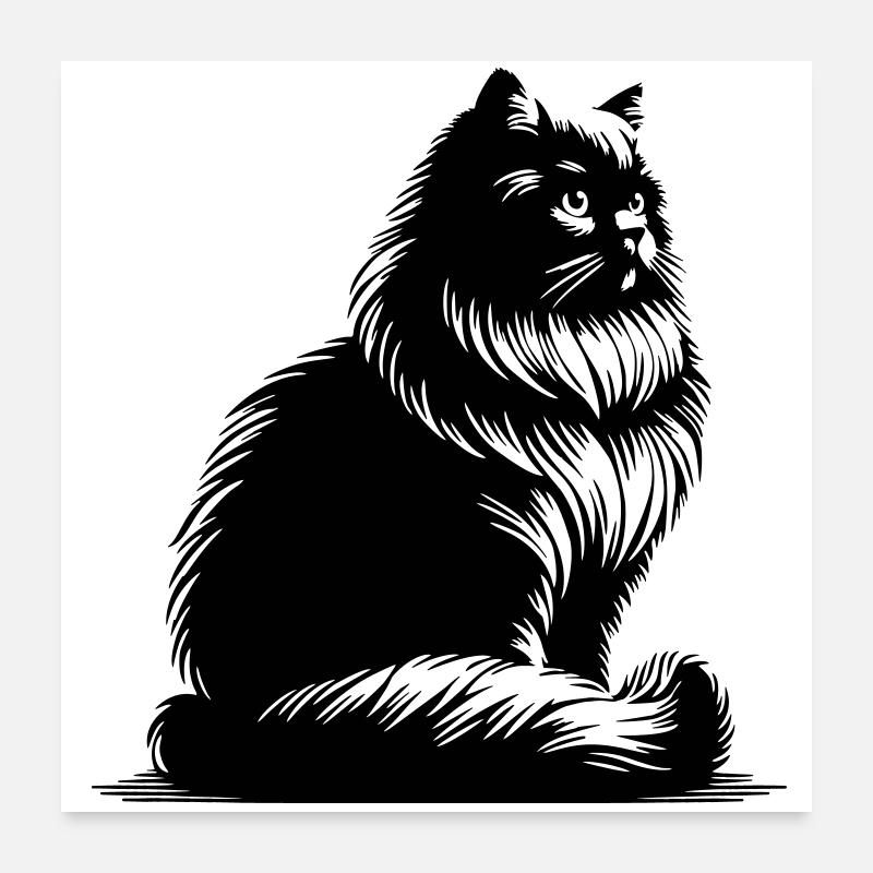 Chat britannique à poil long Poster 60 x 60 cm