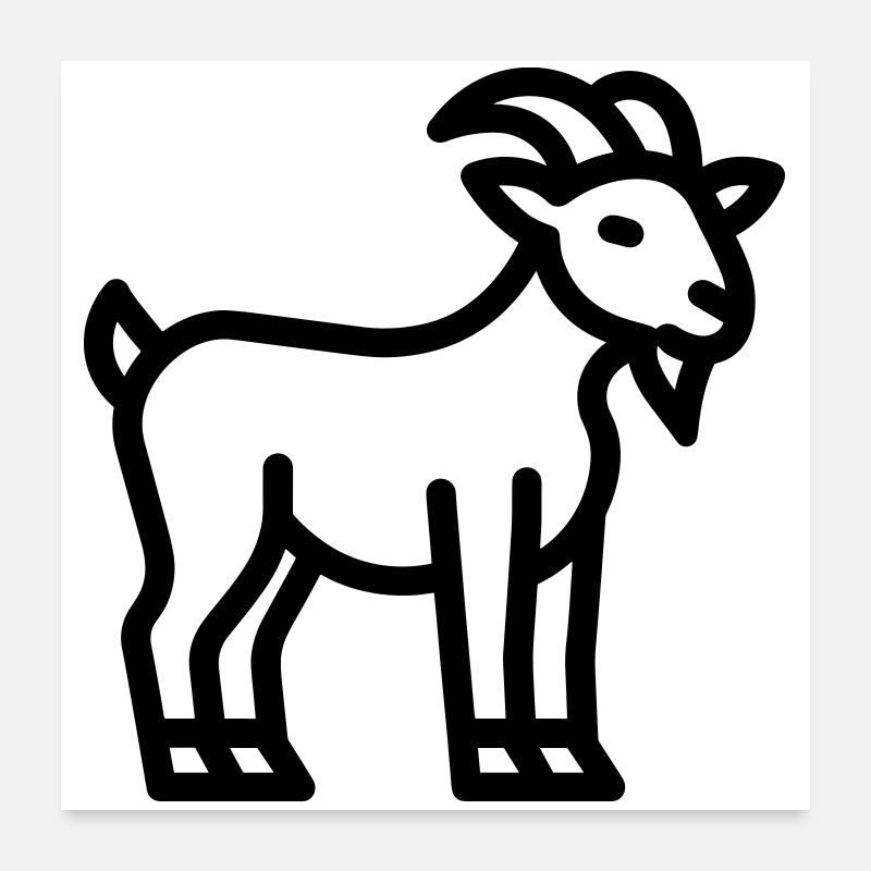 chèvre Poster 60 x 60 cm