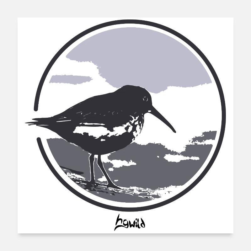 HGWILD - Bécasseau variable Poster 60 x 60 cm