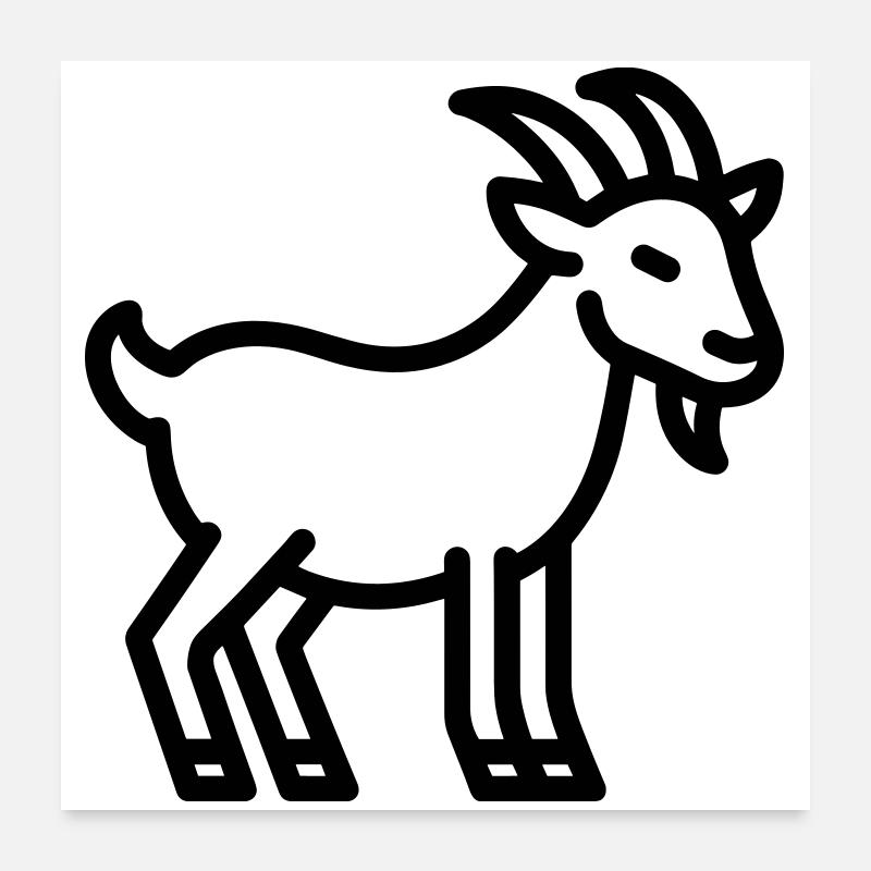 chèvre Poster 60 x 60 cm