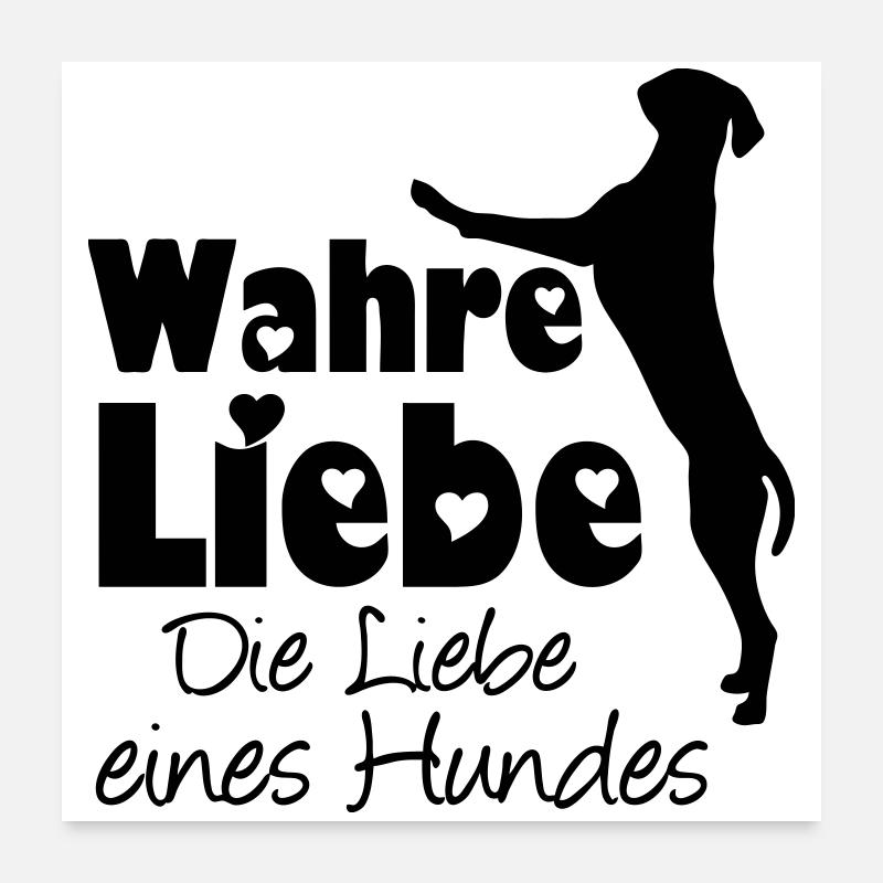 Wahre Liebe - Hund Haustier Tier Geschenk Spruch Poster 60x60 cm