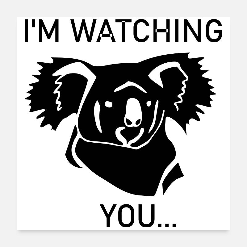 Koala vous regarde Poster 60 x 60 cm