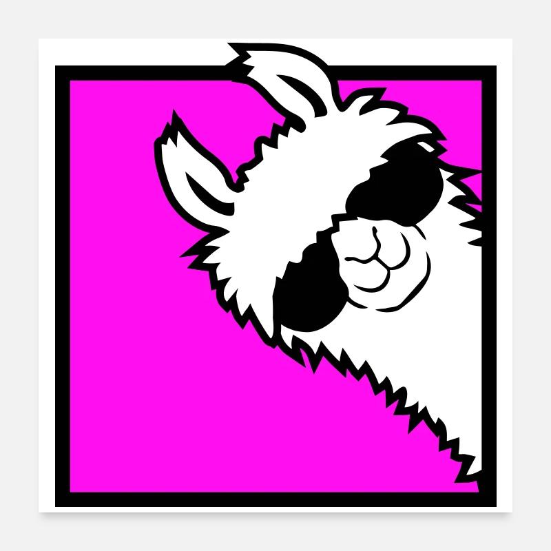 Lama Cool Peeks Around Corner Side Sunglasses Alpaca Poster 24" x 24" (60x60 cm)