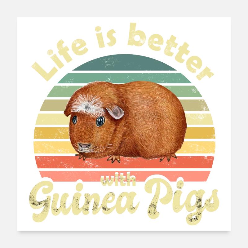 Guinea pig Poster 24" x 24" (60x60 cm)