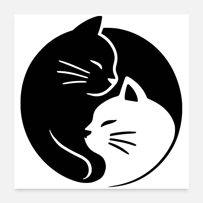 Chats Ying Yang Poster 60 x 60 cm