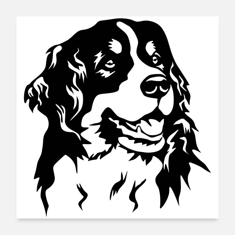Bernese Mountain Dog head Poster 24" x 24" (60x60 cm)