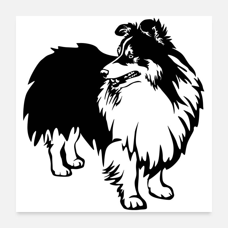 Sheltie Poster 60 x 60 cm