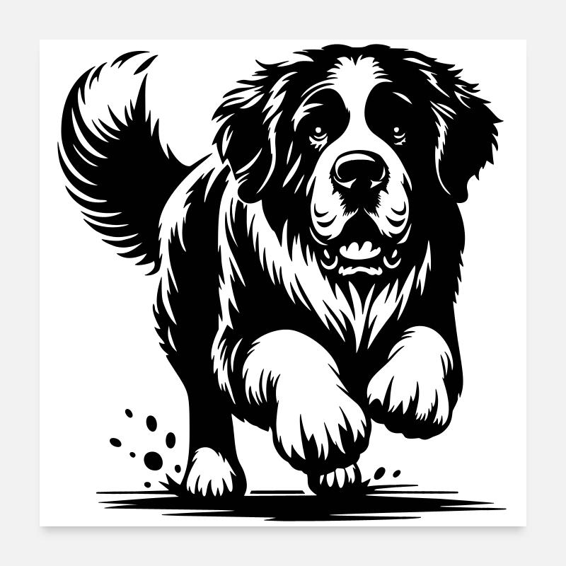 Saint-bernard Poster 60 x 60 cm