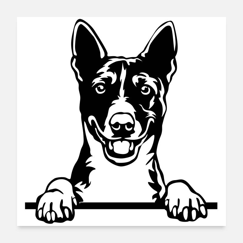 Basenji Kopf Poster 60x60 cm