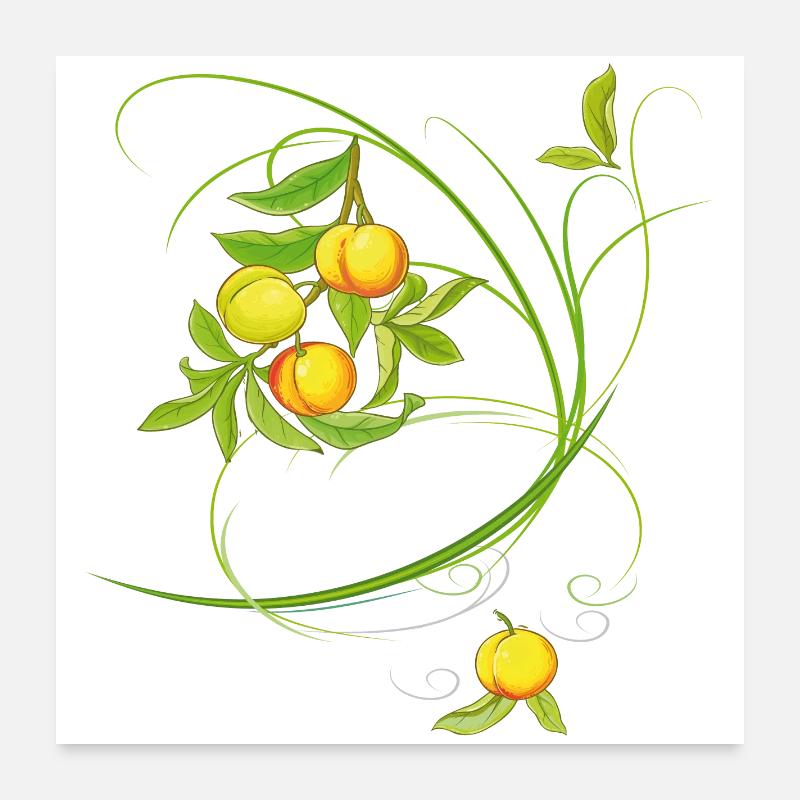 Pfirsiche, Obst - Poster 60x60 cm - Weiß