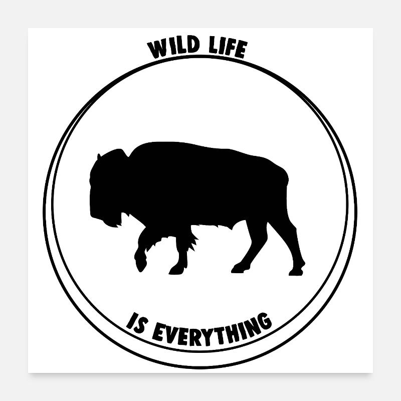 Buffalo wild life Poster 60 x 60 cm