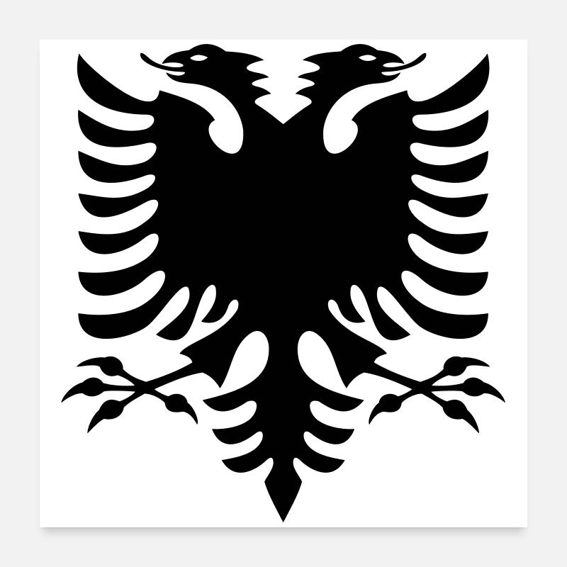 Albania Flag Poster 24" x 24" (60x60 cm)
