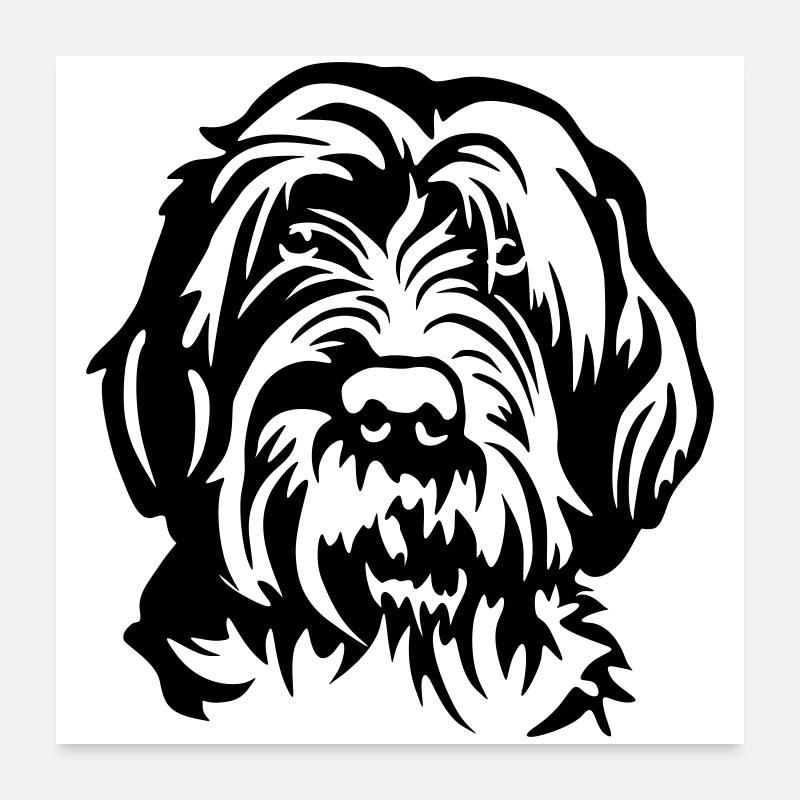 Griffon Korthal's Head Poster 24" x 24" (60x60 cm)