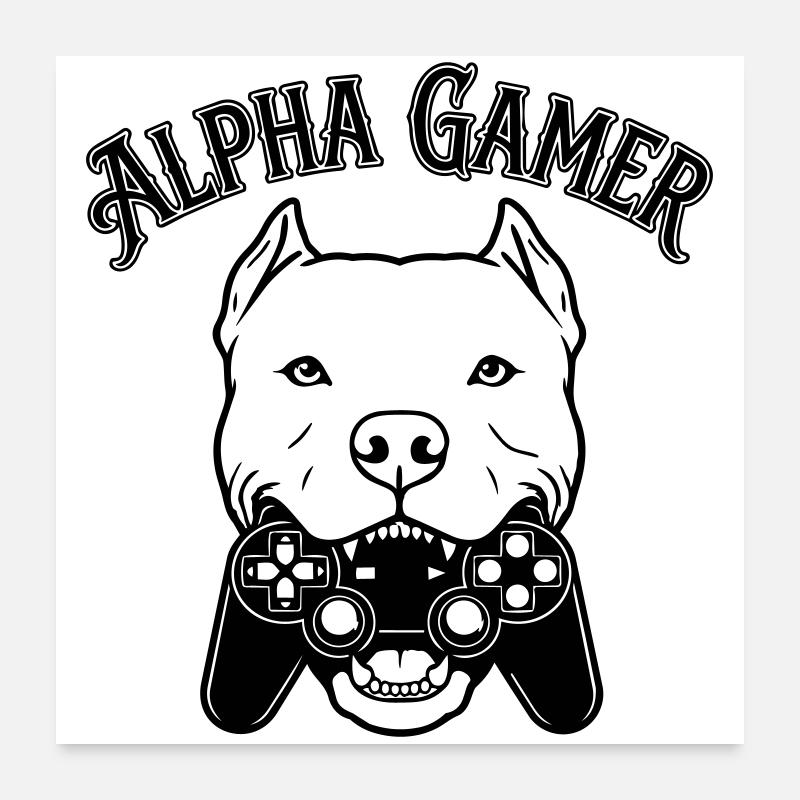 Alpha Gamer Poster 60x60 cm