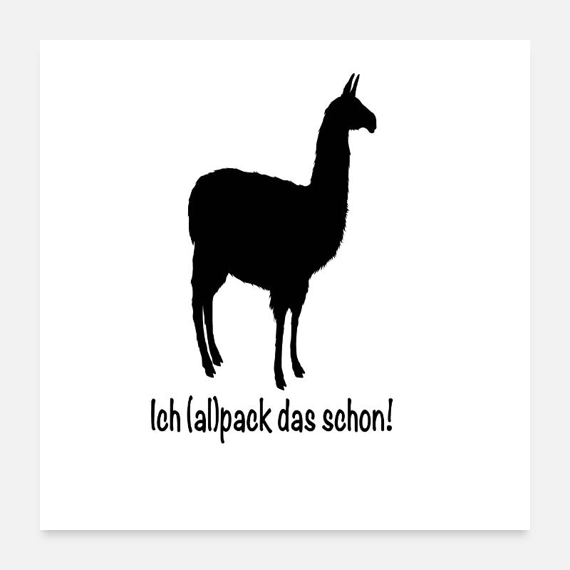 Alpaka pack - Poster 60x60 cm - Weiß