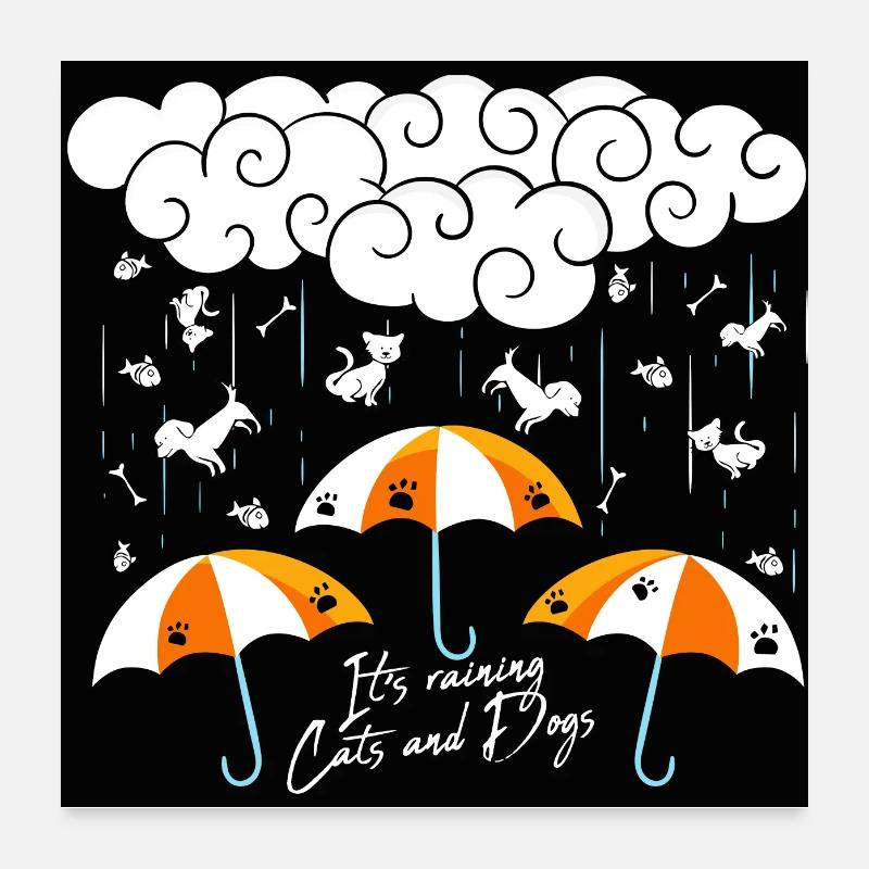 It's raining cats and dogs Poster 60 x 60 cm
