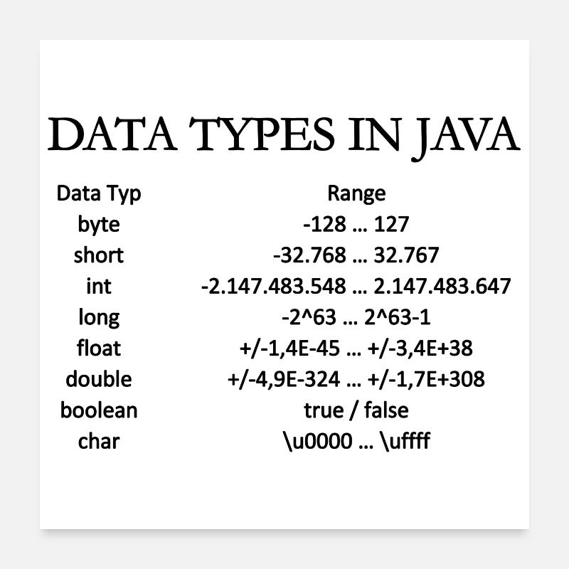 TYPES DE DONNEES EN JAVA (affiche) Poster 60 x 60 cm