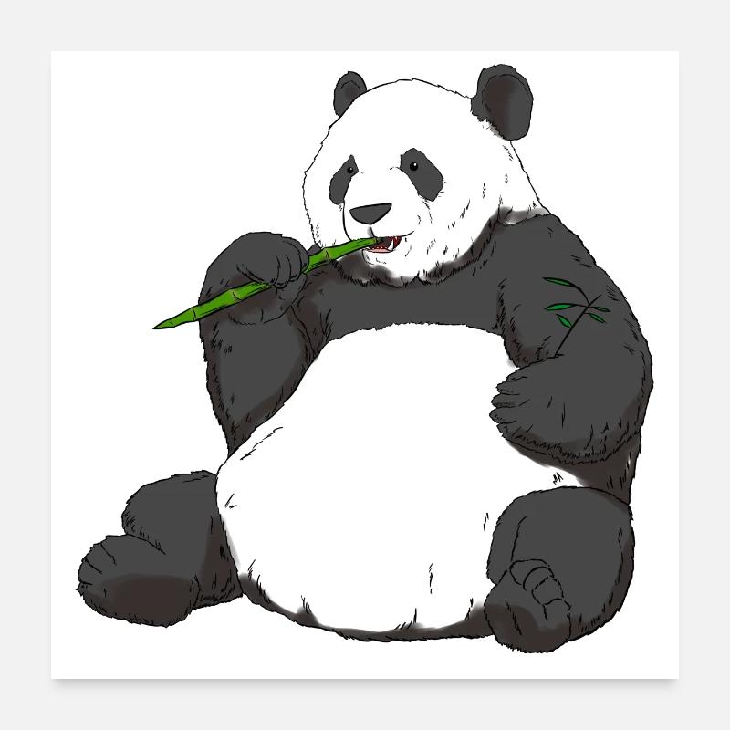 Großer Panda Süßer Pandabär Tierfreund Poster 60x60 cm