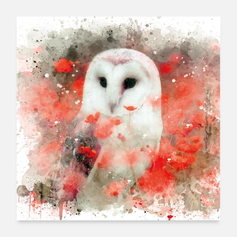 White Owl couleur de l'eau Poster 60 x 60 cm