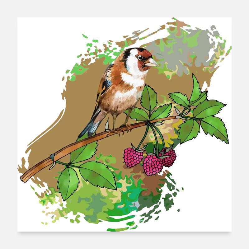 Oiseau chardonneret Poster 60 x 60 cm