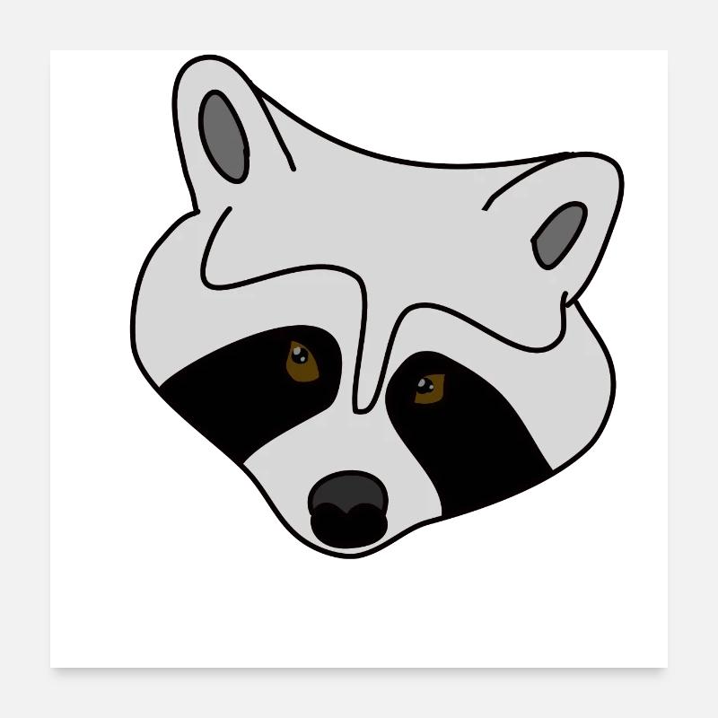 Waschbär - Poster 60x60 cm - Weiß